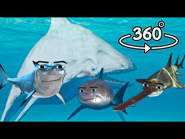 Shark Gegagedigedagedago 360° VR