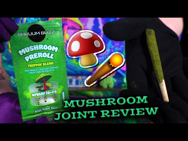 🍄 TRYING MUSHROOM PREROLLS | Shruum Buzz TRIPPIN BLEND Amanita + Delta 8 Mushroom Pre-Rolls