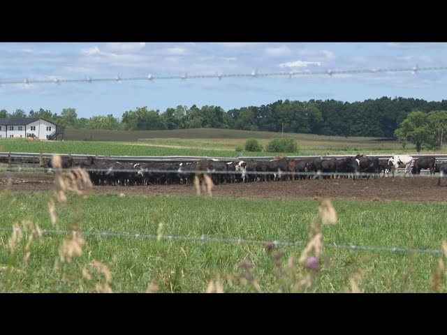 State agencies join Williams County cattle battle | 11 Investigates