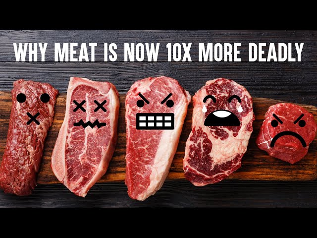 Why Meat Is Now 10X More Deadly, w Stephen Fry