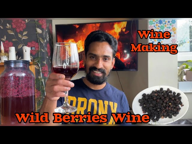 Home made Wild Black Berries Wine, 14% alch.vol. perfect wine Ireland malayalam vlog #manjaprackaran