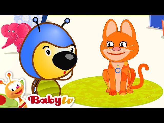 A Cat Sound 🐱| Ladybugs Making Music | Cartoons @BabyTV