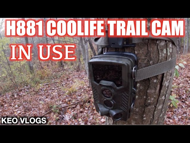 Coolife H881 Trail Cam In Action