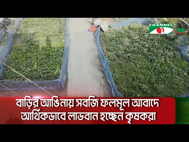 বাড়ির আঙিনায় সবজি ফলমূল আবাদে নিরাপদ খাদ্যের সম্ভাবনা || Channel i News