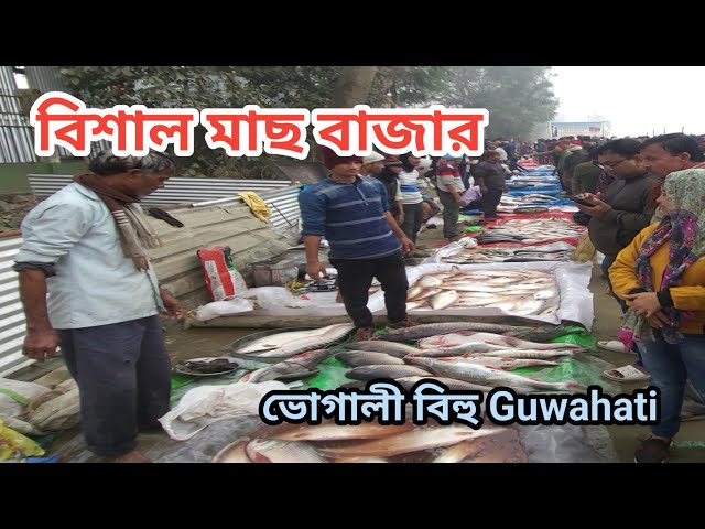 Bhogali Bihu Fish Market | বিহুতে মাছের বাজার