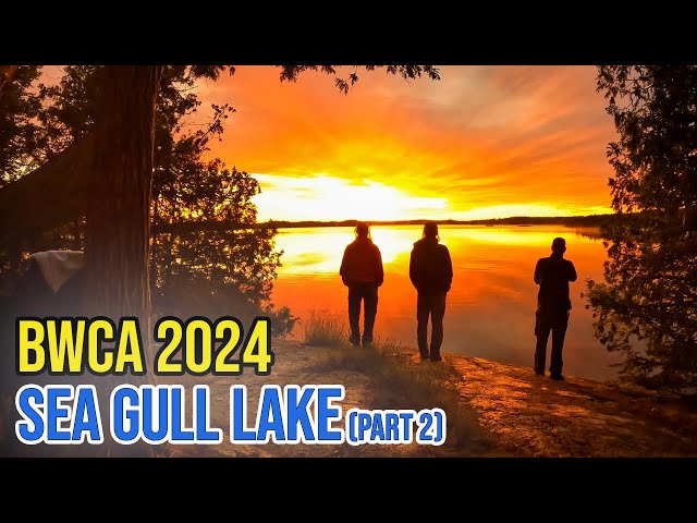 BWCA 2024 - Sea Gull Sunrise and Wilderness Departure