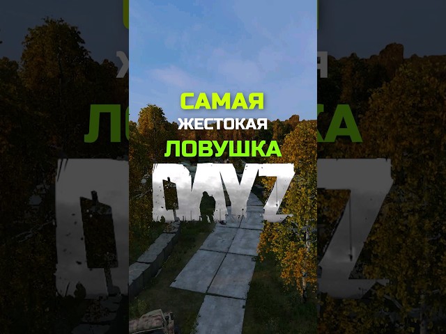 Dayz Life hack | Самая лучшая ловушка в дейз #dayz  #dayzstandalone #shorts