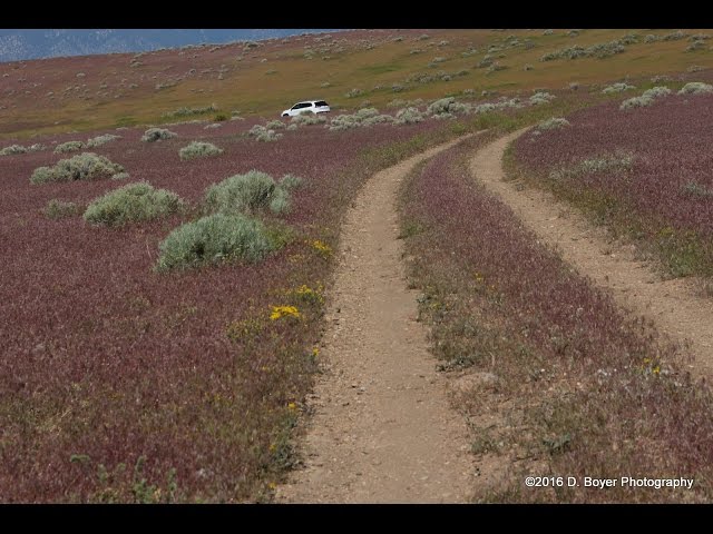 360video Off-roading on the Pine Nut Mountain Range in a Jeep Cherokee