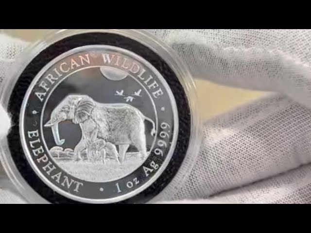 2022 Somalia 1 oz, African Wildlife Series: Elephant, 100 Shillings  .9999 silver BU coin