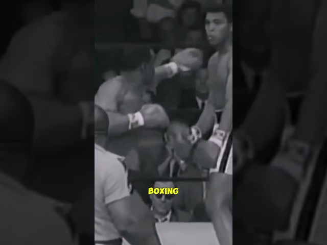 The most controversial punch in boxing history #ufc #mma #boxing