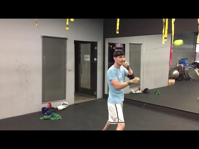 Boxing Ball Training