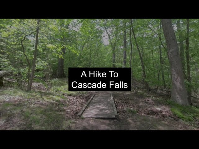 A Hike To Cascade Falls (VR180 & Spatial Audio)