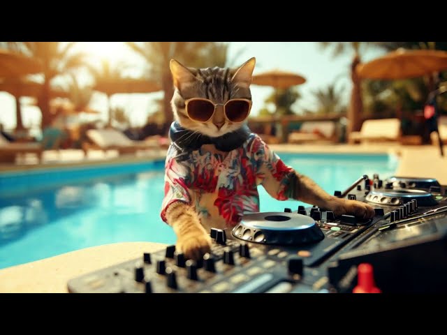 DJ MIAWW 🎵 The Best TECHNO Party Mix 2025 | Dance with The Coolest Cat DJ