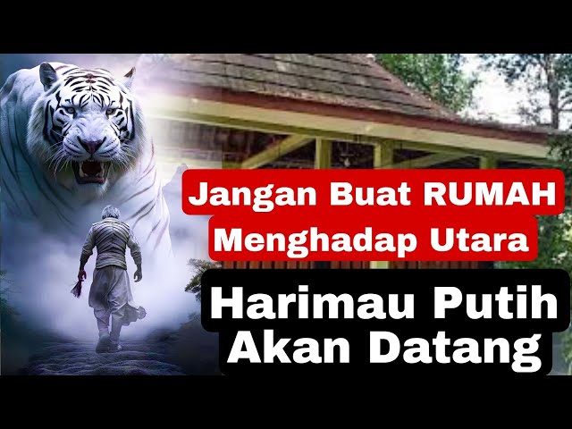 MISTERI!! Harimau Putih Desa Mliwang - Makam Syeh Sayyid Abdullah