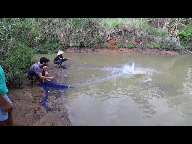 FISHING AND WEIGHING THE PIRARUCU