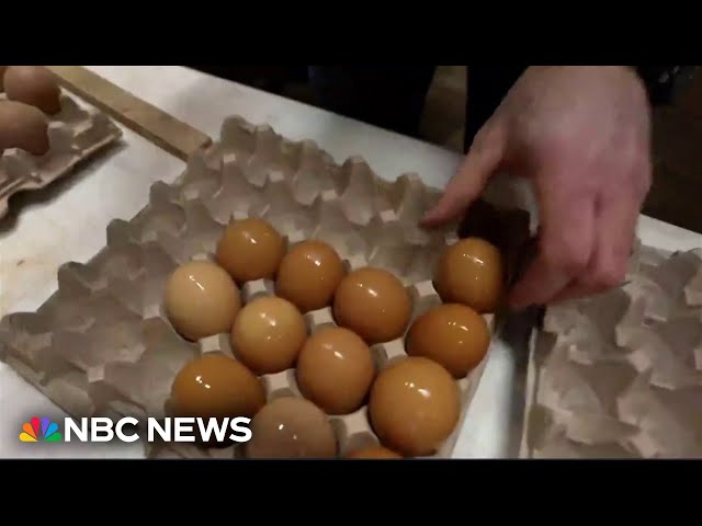 Egg prices soaring as bird flu spreads across country