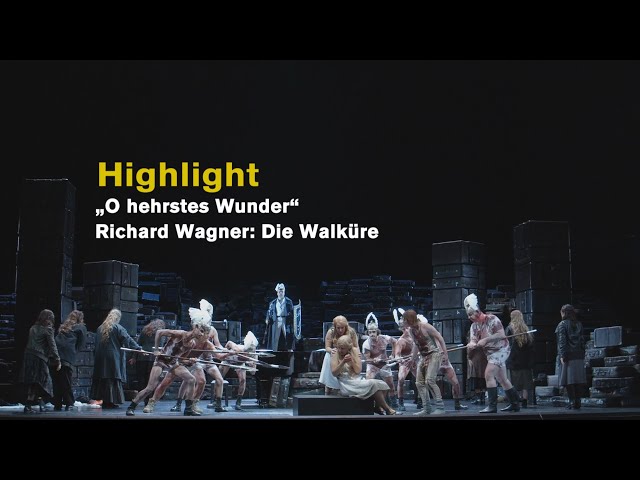 Richard Wagner DIE WALKÜRE "O hehrstes Wunder" (Highlights)