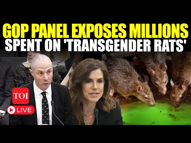 LIVE | ‘$10 MN Taxpayers Funds Spent On Transgender Rats, Monkeys' | GOP Oversight Committee