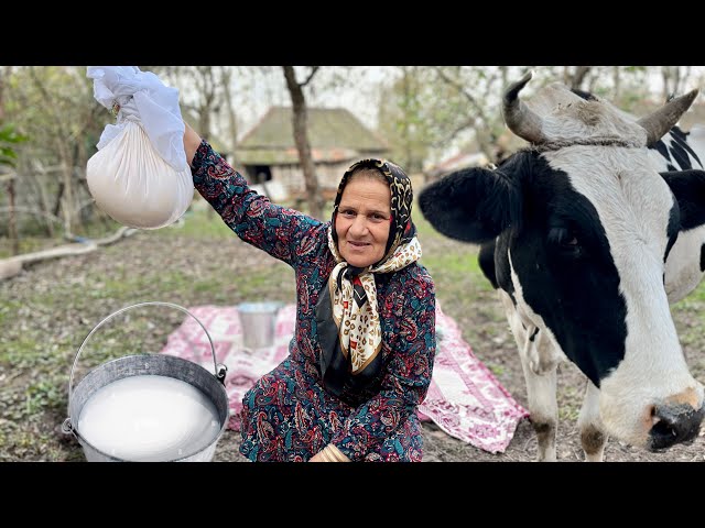 Village Real life:Milking Cows and Cooking Traditional Iranian Dishes