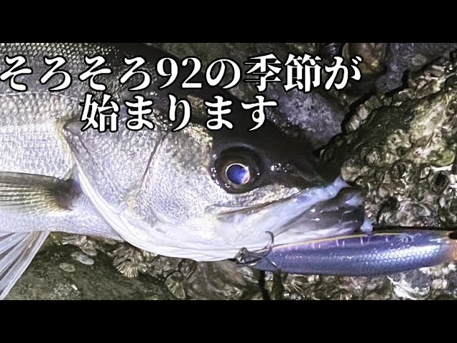 釣れるルアーのでかいやつ【マリブ92】