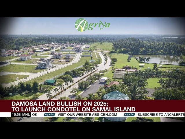 Damosa Land bullish on 2025; to launch condotel on Samal Island | ANC