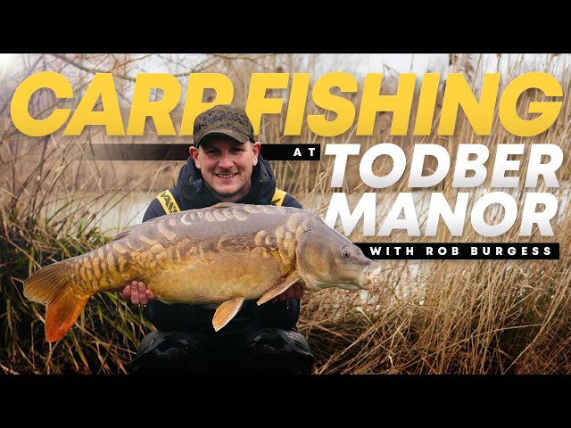 CARP FISHING at Todber Manor with Carp Angling Pro Rob Burgess! Mainline Baits Carp Fishing TV