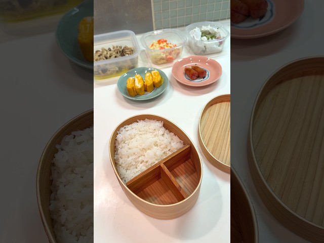 【Japanese housewife】Make bento for my husband! #lunch #lunchbox #mukbang #asmr #satisfying