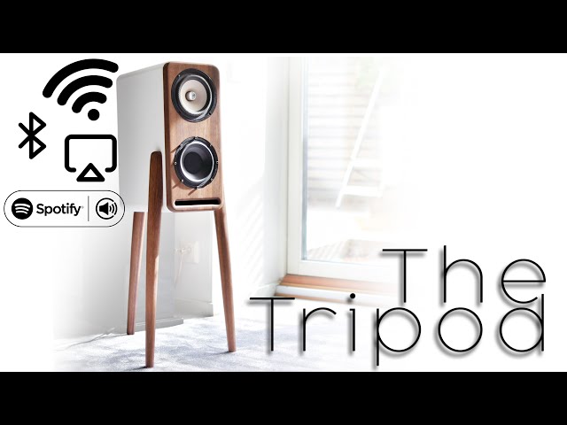 Build This Floorstanding Speaker