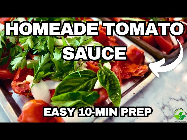 Quick & Easy Homemade Tomato Sauce | 5-Min Prep!