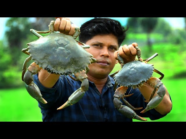 1.5 kg BIG CRAB | KING of CRAB GRAVY | Cooking Skill Village Food Channel