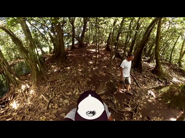 forest test 360°