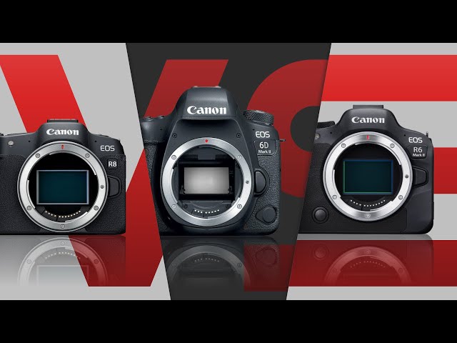 Canon EOS 6D Mark II vs EOS R8 vs EOS R6 Mark II