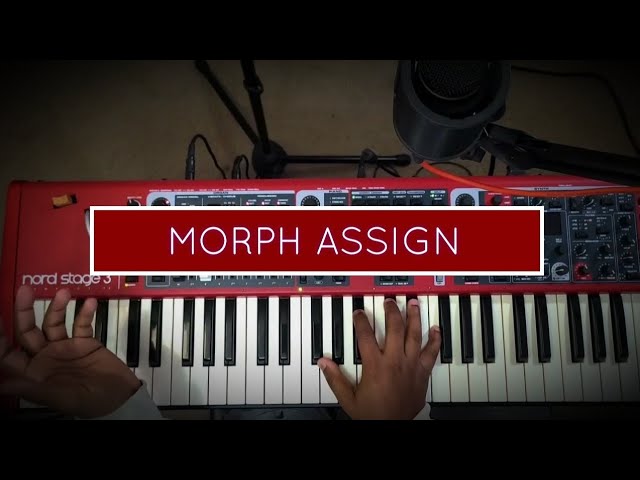 Nord Stage 3 - Morph Assign Wheel