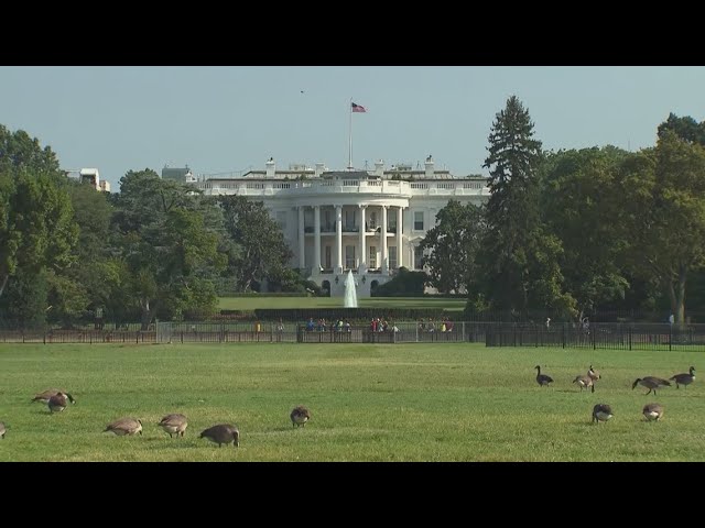 Trump administration halts federal advisory meetings, including for NIH