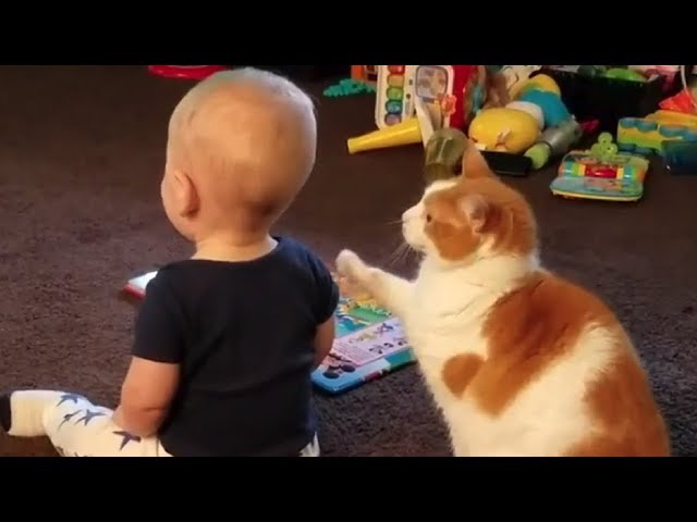 These Encounters Between Babies And Cats Are Guaranteed To Melt Your Heart