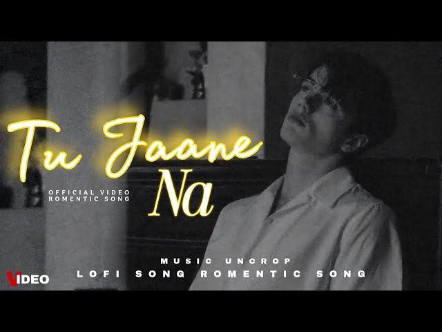 Tu Jaane Na : Video | Lofi Song | Lyrics Video Song | Sad Lofi | New Song 2025 | Lofi Music | HD