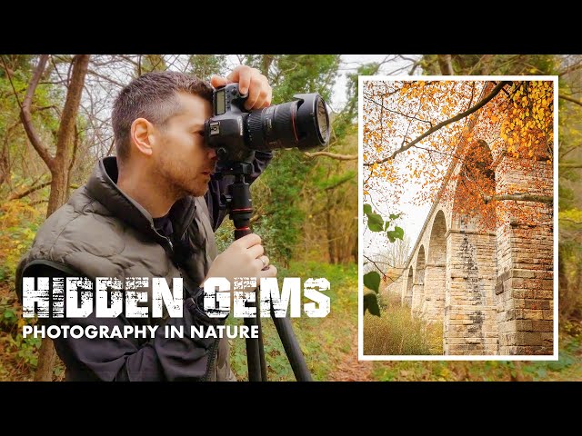 Woodland Photography | Finding Hidden Gems in North Yorkshire