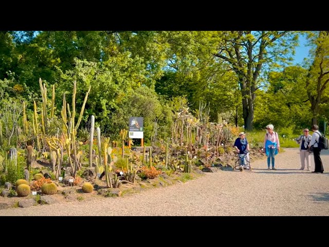 Vienna Walk in Botanical Garden, May 2023 | 4K HDR