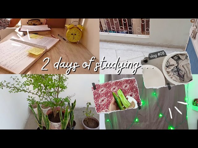 ⭐study vlog 08 - study vlog of 2 days/productive study vlog/aesthetic study vlog/study motivation