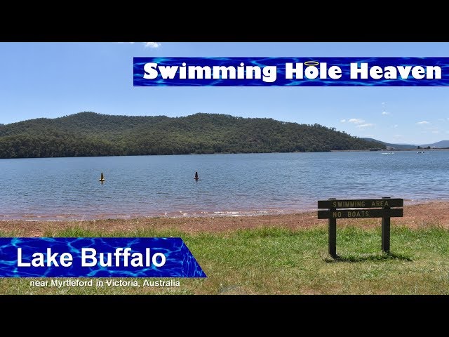 Swimming on both sides of Lake Buffalo, Victoria