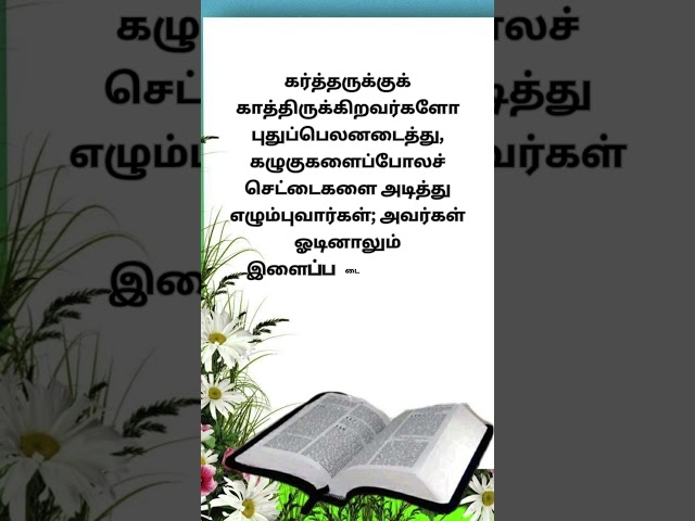 Today Bible verse || Daily Bible Verses in Tamil #todaybibleverse #bibleverse #shortsfeed #shorts