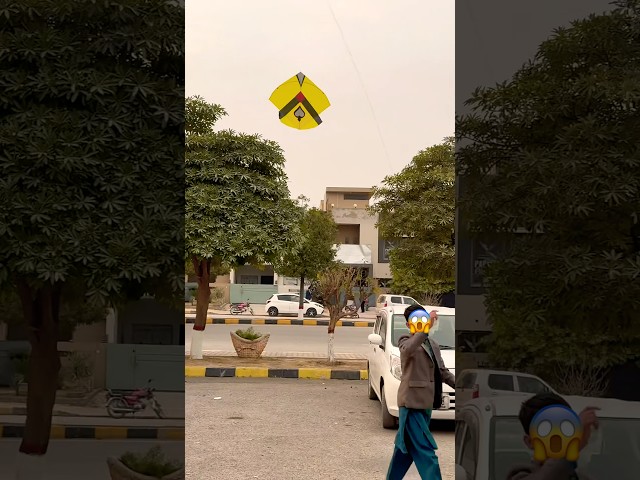 Kite catching in street😱#youtubeshorts #trending #kiteflying