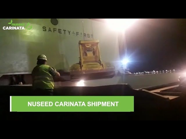 Nuseed Global - Carinata Harvest Delivery to Saipol (Feb '22)