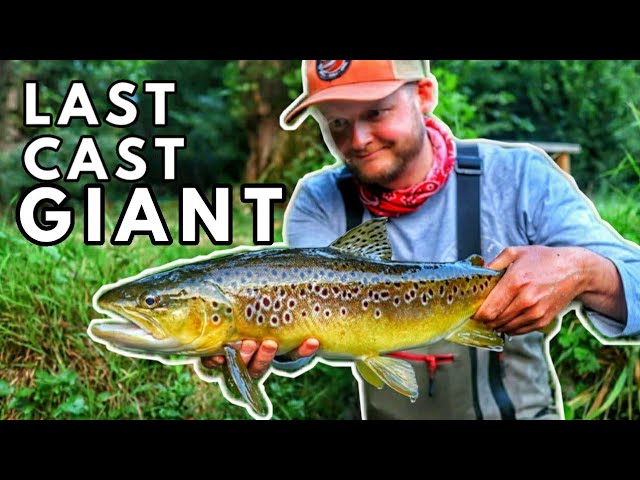 Fly Fishing The Chalkstream River Itchen In England For Brown Trout With Fishing Breaks Day 2!