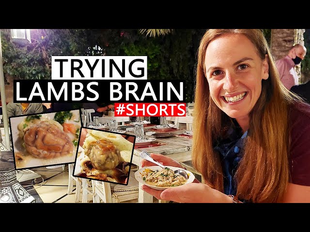 I ate LAMBS BRAIN and it was…