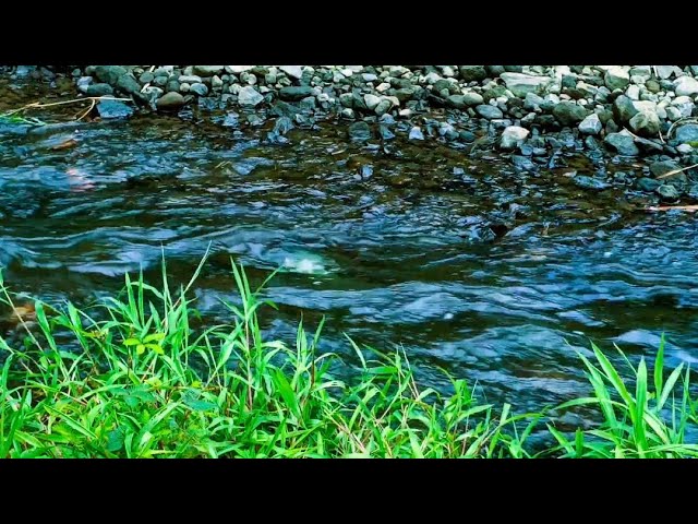 Relaxing River Sounds stress reliever, helps deep sleep, for meditation and yoga