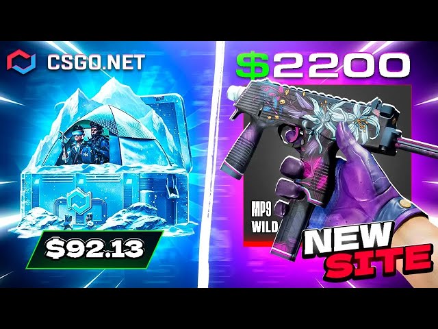 EXCELLENT PROFIT FROM THE LIMITED MOUNT EVEREST CASE! - CSGONET Case Opening