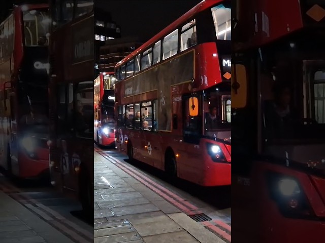 London #buses at night