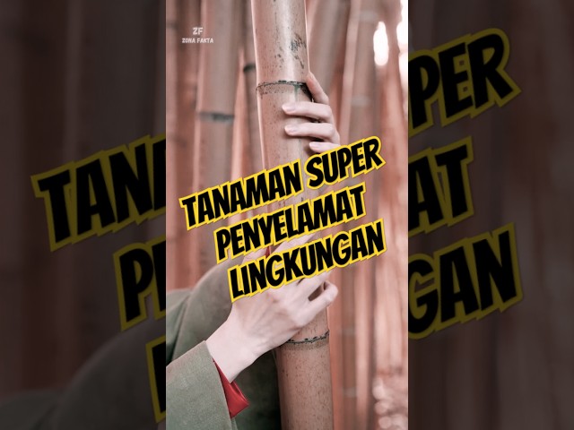 Tanaman Super! Fakta Bambu Yang Pasti Bikin Kamu Terkejut!