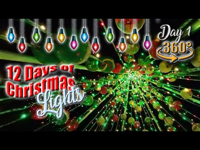 🎄Key West 360- 12 Days of Christmas Lights, Day 1- Lazy Lane & Buoy Tree